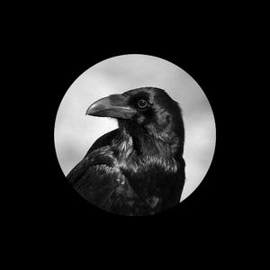 亚洲美女丝袜视频姐弟乱伦
