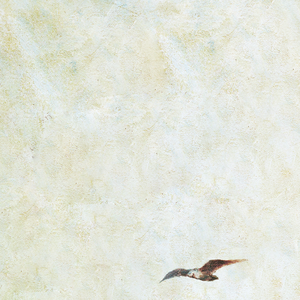 亚洲美女丝袜视频姐弟乱伦
