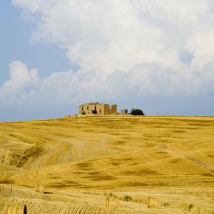 亚洲美女丝袜视频姐弟乱伦
