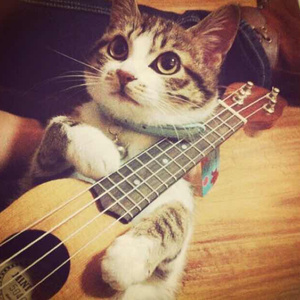 亚洲美女丝袜视频姐弟乱伦
