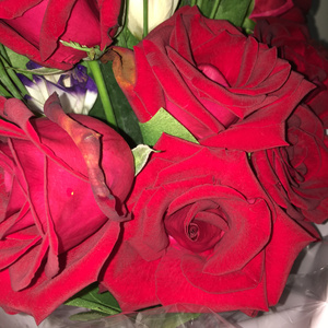 亚洲美女丝袜视频姐弟乱伦
