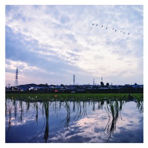 亚洲美女丝袜视频姐弟乱伦
