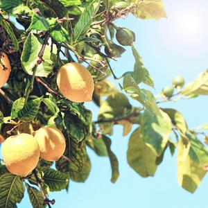 亚洲美女丝袜视频姐弟乱伦
